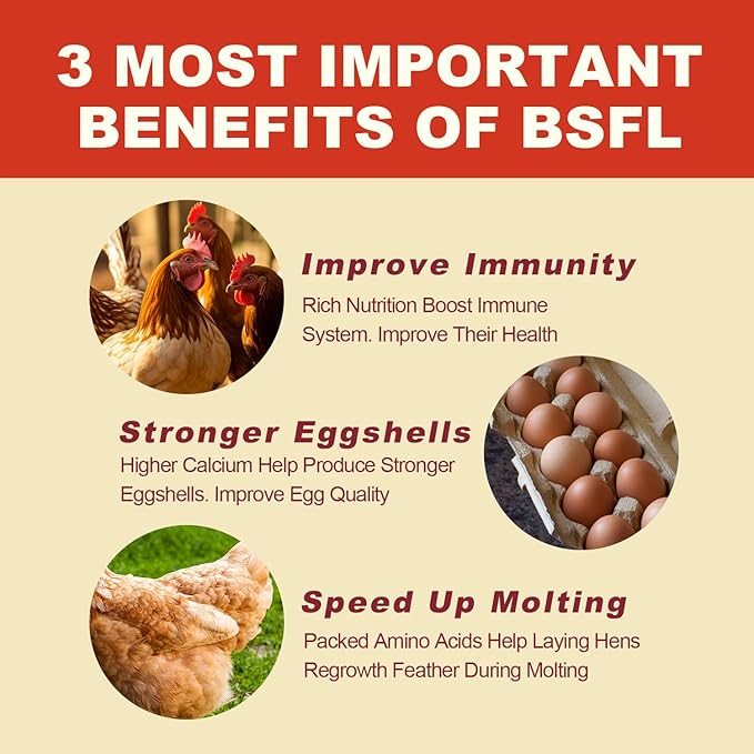 5.5LB Dried Black Solider Fly Larvae, BSFL is High Protein Chicken Feed with 85x More Calcium Than Dried Mealworms, Poultry Treats, Chickens Love, Birds Love, Hens Love, Ducks Love