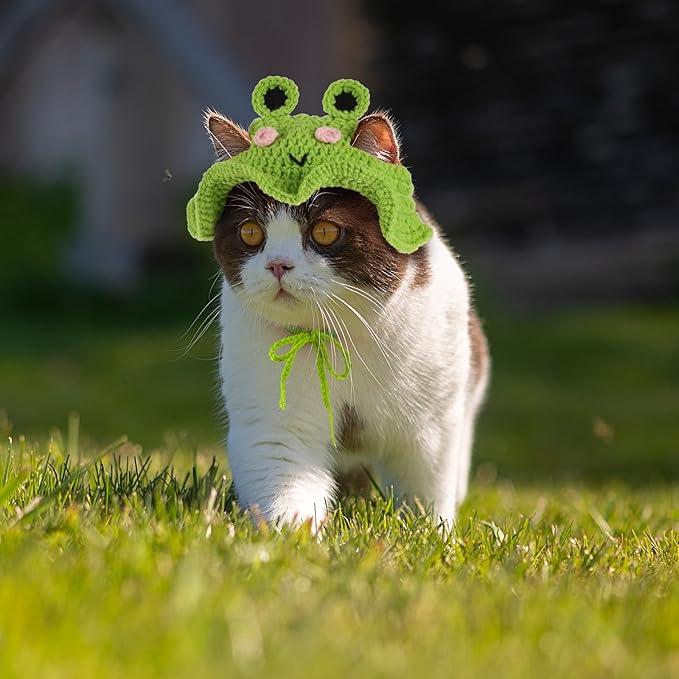 Frog Cat Hat, Cotton & Soft Cute Knitted Hats for Cats Frog Crochet Cat Hats for Cats Only Cute Puppy Hat for Small Pets on Christmas Birthday Party Halloween (Green, S)