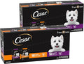 Cesar Filets in Gravy Wet Dog Food Filet Mignon Flavor and Rotisserie Chicken Flavor Variety Pack, Wet Food for Dogs, 1.76 oz. Mini-Pouches, 20 Count (Pack of 2)