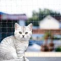 Cat Anti-Fall Fence Net - Transparent Nylon Pet Mesh Fence for Balcony, Window & Stairs (10 x 26ft/3 x 8 Meters)