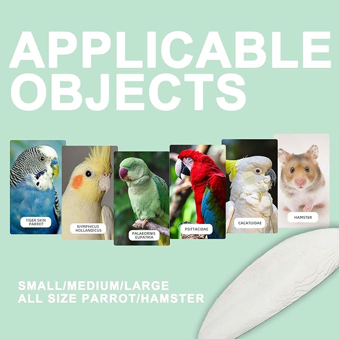 Natural Cuttlebone for Birds Parakeets Canaries Cockatiels Small Conures Mynahs Toucans African Greys All Parrots Snails Totoise, with Holder for Bird Cage(5"-5.5",2 Per Pack)