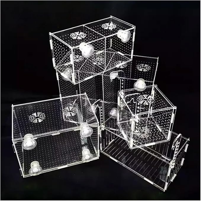 Transparent Acrylic Aquarium Isolation Box - Single & Double Grid Fry Breeding Tank for Fish Hatcheries(Hook)