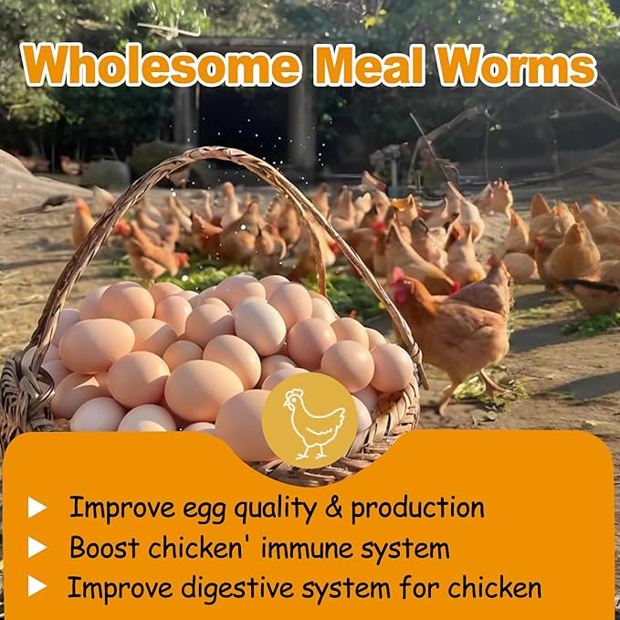10LB Dried Mealworms, Non-GMO Meal Worms for Chickens & Birds, High Protein Chicken Feed, Natural Chicken Worms Ideal for Wild Birds, Reptile Tasty Bird Food