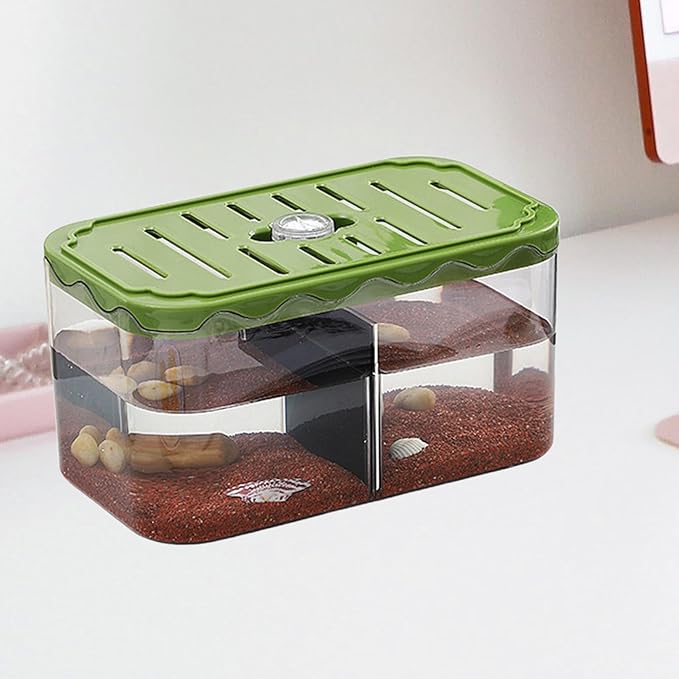 Small Fish Tank Aquarium Breeding Box Transparent Hatchery with Removable Divider for Clownfish Desktop, Green