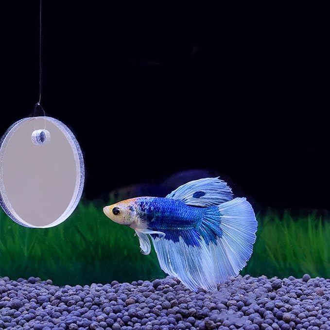 Betta Training Mirror Fish for Tank Fish Antidepressant Work Out Special for Betta Fitness Mirror Betta Toys Mirror Aquarium Decor (5cm) (6cm)