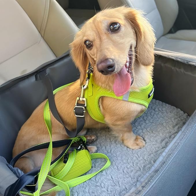 Best Pet Supplies Voyager Step-in Air Harness - All Weather Mesh, Reflective, No Pull Harness for Dogs, Cats - Secure with Hook & Loop Fastener, Buckle, Double D-Rings - Lime Green, XS