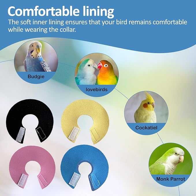 4Pack Bird Cone Collar, Anti-Grab Feather Plucking Wound Healing Safety Elizabethan Collar, Protective Recovery Cones for Budgerigar Cockatiel Lovebirds Cockatoo Parrots (M)