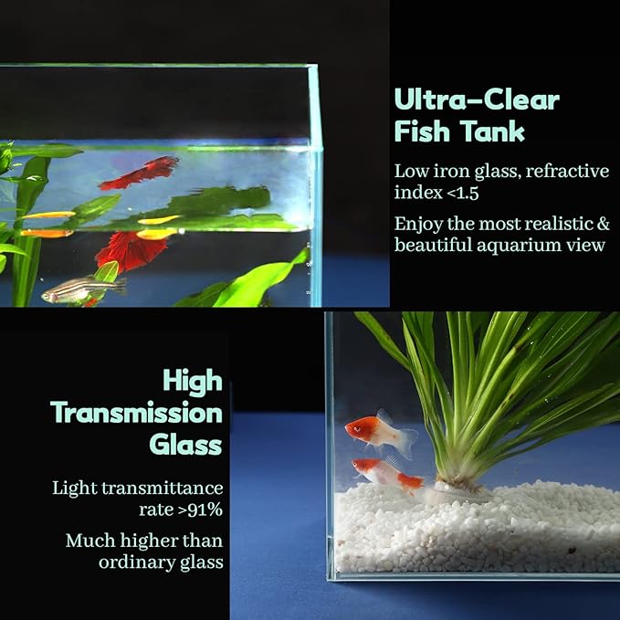 10 Gallon Ultra Clear Glass Fish Tank, Rimless Low Iron Aquarium for Betta/Nano/Goldfish/Snail/Shrimp, Big Fish Tank & Cover Set & Feeding Ring & Cleaning Tools
