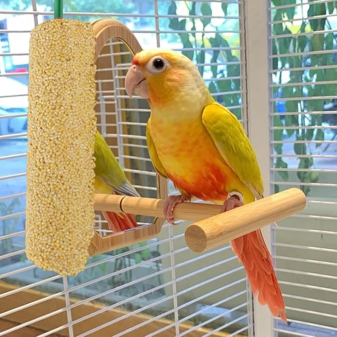 Bird Treat Sticks - Natural Foraging Snacks for Parakeets, Conures, Small Birds with Chewing and Training Benefits | 2-Piece Reward Food for Myna, Finch, Parrot, Fun and Healthy Bird Care