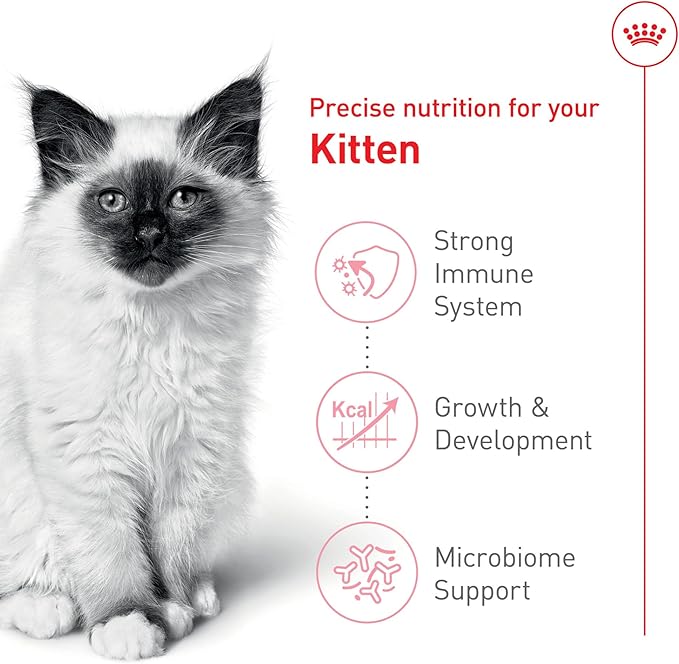 Royal Canin Feline Health Nutrition Kitten Dry Cat Food, 7 lb Bag