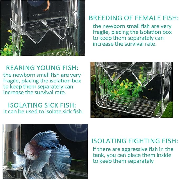 Fish Breeding Box - 20.5*9.5*9.9cm Acrylic Hatchery Incubator Tank Fish Tank Divider | Fishes Tanks Incubator Breeding Box | Aquarium Breeder BoxFish Acclimation Boxes Nursery For Injured Hatchery Inc