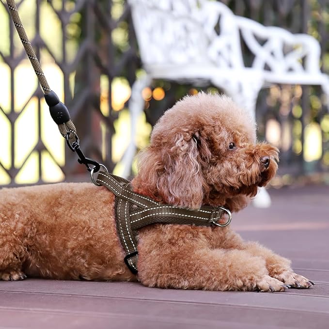 Plutus Pet No Pull Dog Harness with Breathable Mesh Padded, Adjustable Reflective Escape Proof Dog Harness, Quick Fit Dog Vest Harness for Small Medium Large Dogs(XS, Chocolate)