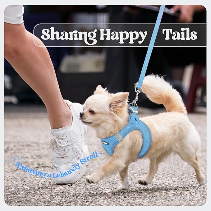 rabbitgoo Dog Harness Small Medium Sized and Leash Set, Step in Soft Light Puppy Vest, Breathable Mesh Pet Harness, Reflective for Safe Easy Walking, Blue L