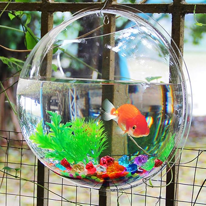 Aquarium Wall Mounted Plant Bowl - 6 Inch Round Acrylic Betta Fish Tank, Hanging Bubble Vase for Plant Propagation & Home Office Wall Decorations