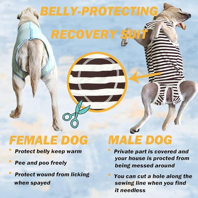 Dog’s Recovery Suit Post Surgery Shirt for Female Male Dog, E-Collar Alternative Wound Protective Clothes (Grey orange-5xl)