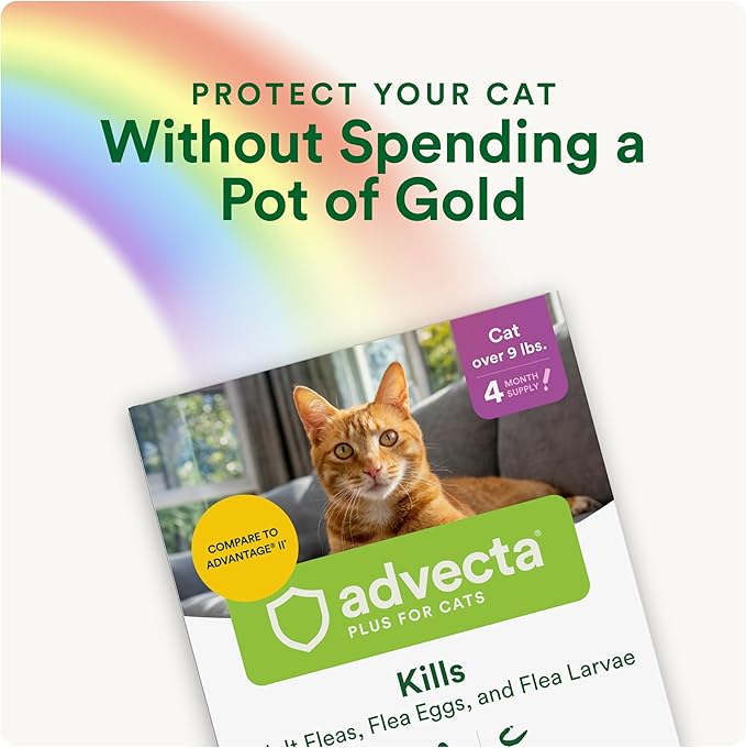 Advecta Plus Topical Large Cat Flea Treatment for Cats and Kittens, Flea Prevention and Control, Fast-Acting Waterproof Drops, 4-Month Supply