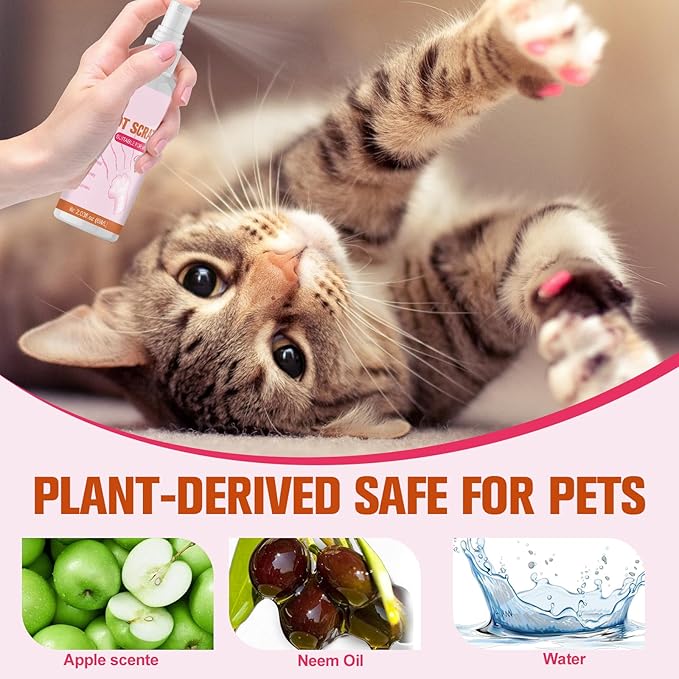 Indoor & Outdoor Natural Cat Deterrent Spray - 2 Pack, Scratch Prevention for Furniture, Sofa & Plants, Training Aid to Stop Scratching & Marking for Cats & Kittens