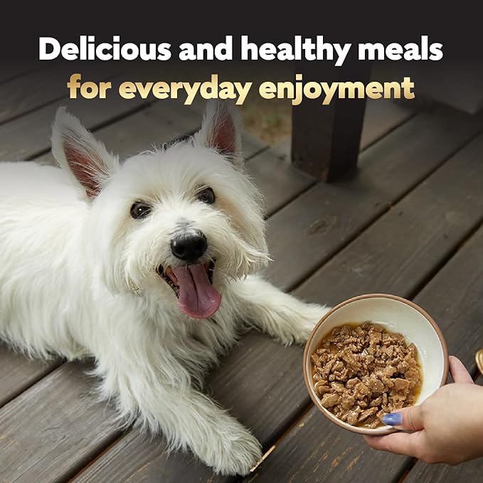 Cesar Filets in Gravy Adult Wet Dog Food Variety Package,Filet Mignon,New York Strip and Prime Rib Flavors,3.5 oz. Easy Peel Trays,Variety Pack,24 Count (Pack of 2)
