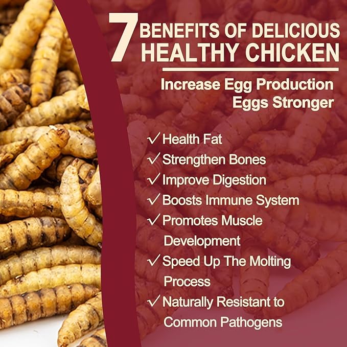 DE AVILA 20LB Dried Black Soldier Fly Larvae for Chickens Bulk, Non GMO 86X High Calcium Grubs Than Meal Worms for Laying Hens,100% Natural BSF Larvae for Chicken Worms Wild Bird Treats (2.5LB x 8)