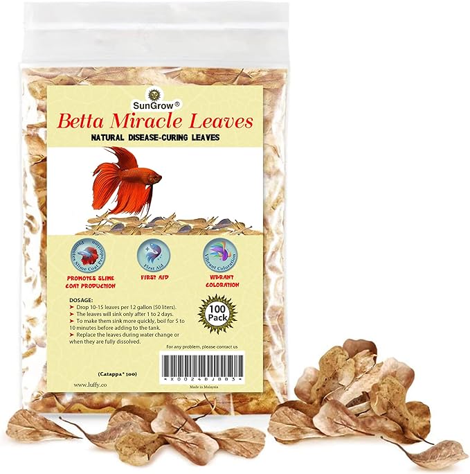 SunGrow 100 pcs Catappa Indian Almond Leaves for Betta Fish Tank Aquarium, 2” Water Conditioner Leaves, Leaf Also Suitable for Shrimp, Goldfish, Guppy and Frogs