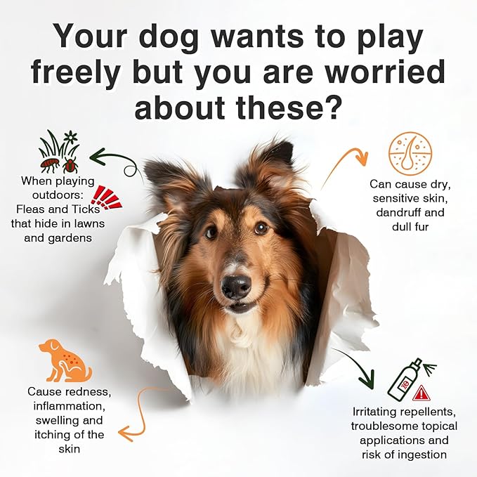 Omega 3-Dog Flea and Tick Prevention Allergy Chews for Dogs Treatment Chewable Natural Flea and Tick Skin and Coat Supplement Immune Dog Chews Yeast Relief Prevention for Dogs Itching and Licking