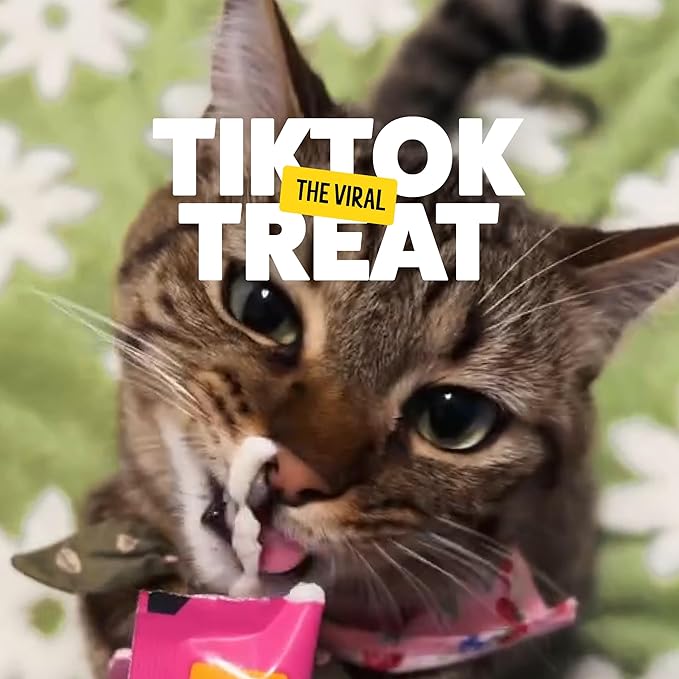 Bonkers Licky Tubes, Wet Lickable Succulent Salmon Flavor Cat Treats, Real Meat, Training or Food Topper, for All Breeds and Ages, Value Pack (15 Pack, 60 Tubes) - Product Package May Vary