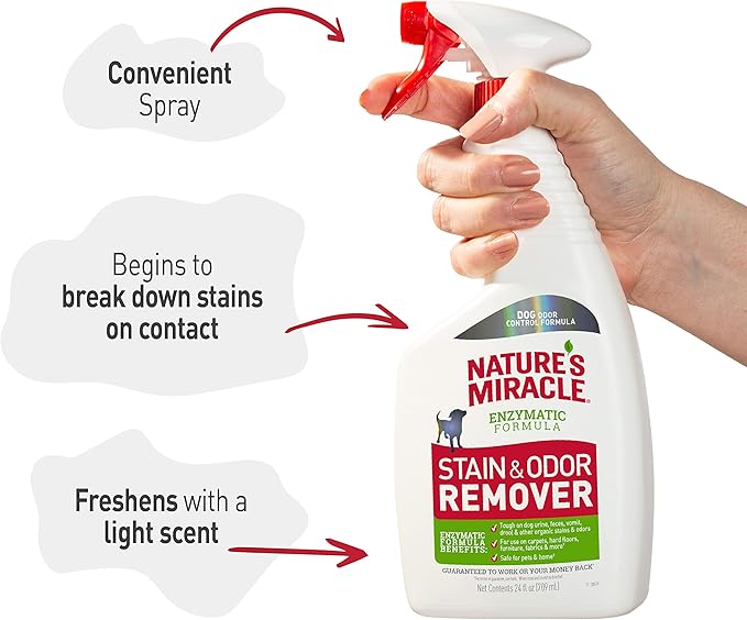 Nature's Miracle Dog Stain and Odor Remover,Everyday Mess Enzymatic Formula,24 fl oz,(Pack of 2)