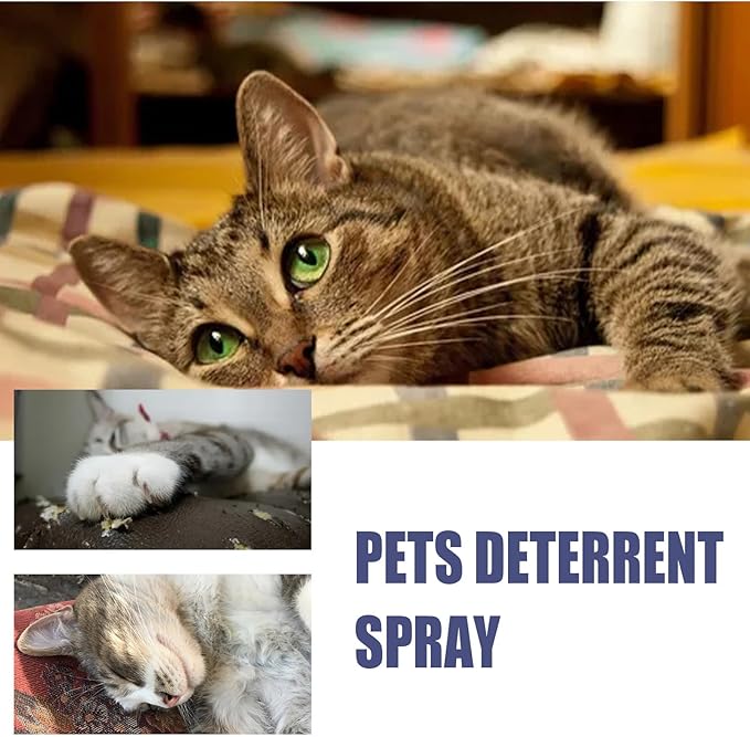 Cat Scratch Deterrent Spray for Furniture – Natural Bitter Taste Training Aid – Indoor Cat Repellent with Plant Extracts & Peppermint – Protects Sofa, Carpet & Curtains – 50ml/1.7 Fl Oz