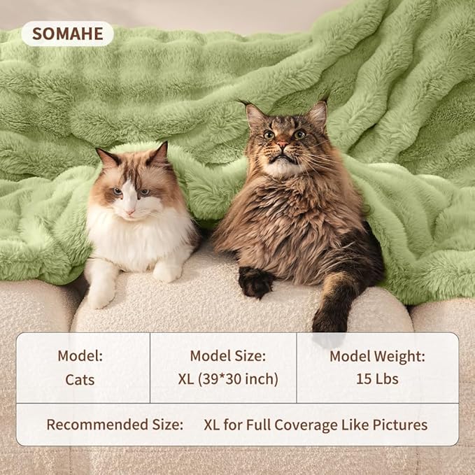 Self-Warming Cat Blanket, Dual-Side Plush Sherpa Throw with Anti-Static, Snuggle Mat for Kittens & Cats, Cozy Bed Topper for Windowsills & Couches, Machine Washable & Dryable, 21x18 Inch Green