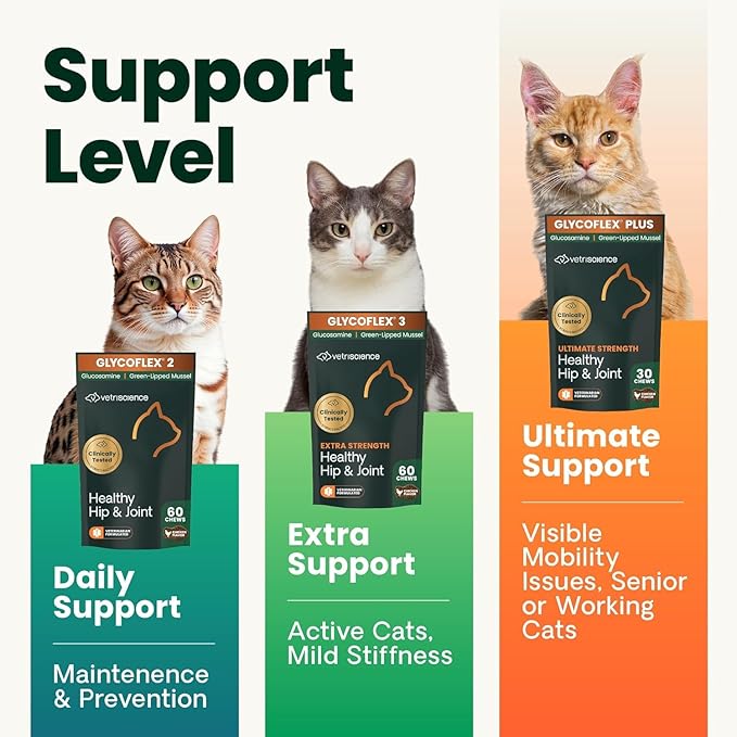 VetriScience Extra Strength Healthy Hip & Joint Chews, GlycoFlex Glucosamine and Green-Lipped Mussel Joint Support Supplement for Cats, Promote Mobility and Soothe Joint Discomfort, Chicken, 60 Count