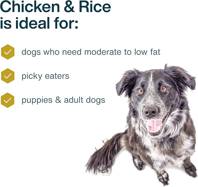 JustFoodForDogs Pantry Fresh Wet Dog Food, Complete Meal or Dog Food Topper, Chicken & White Rice Human Grade Dog Food Recipe - 12.5 oz (Pack of 12)