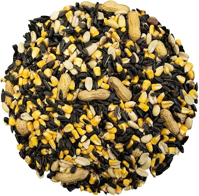 Classic Bird Seed (5 Pounds, Critter Blend)
