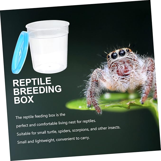 Mini Turtle Tank and Betta Fish Feeding Box Transparent Insect Cup for Reptiles Crested Gecko Food Container Ideal for Jellyfish and Small