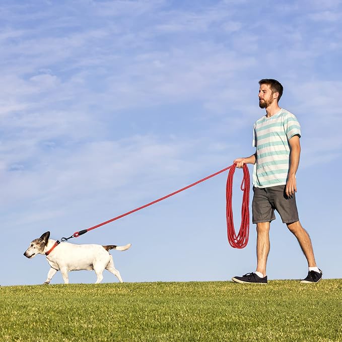 Long Dog Leash for Training 15Ft-Reflective Nylon Rope with Swivel Hook-Recall Agility Lead for Large Small Medium Dogs Outside Walking Hiking-Red