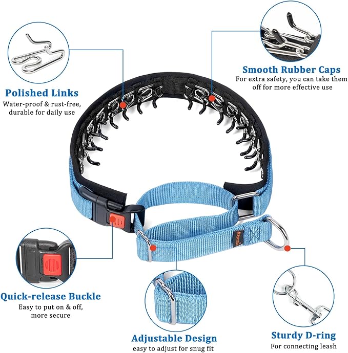 Mayerzon No Pull Dog Collar, Patented Martingale Collar for Small Medium Large Dogs with Buckle and Heavy Duty Nylon for Walking Training Hunting, Safe and Easy to Use(M, Blue)