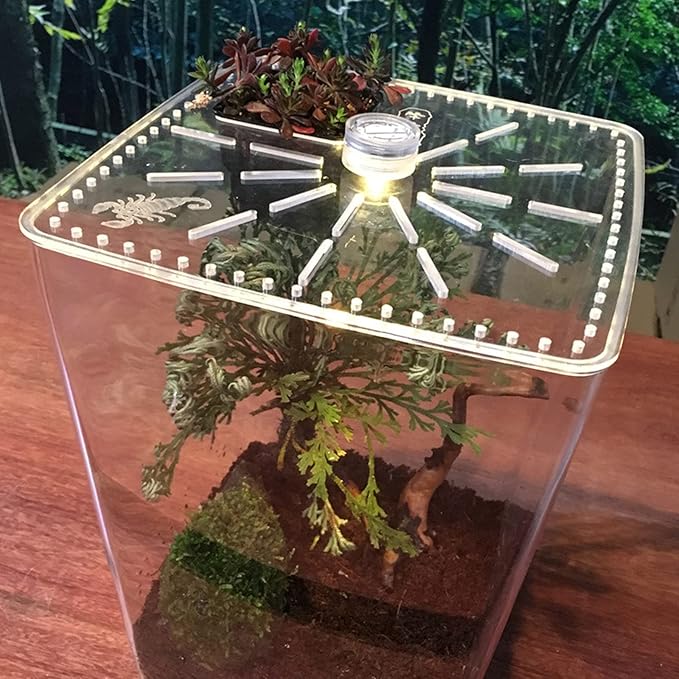 Acrylic Clear Reptile Terrarium Enclosure Cage, Reptile Breeding Box Lizard Spider Tank Climbing Pet Box with LED Light