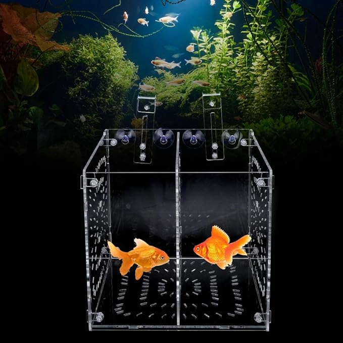 Fish Tank Breeding Box Acrylic Isolation Incubation, Adjustable Height, Transparent - Durable Material, Stable Attachment, Ideal for Aggressive and Sick Fish (20MC *20CM*20CM)