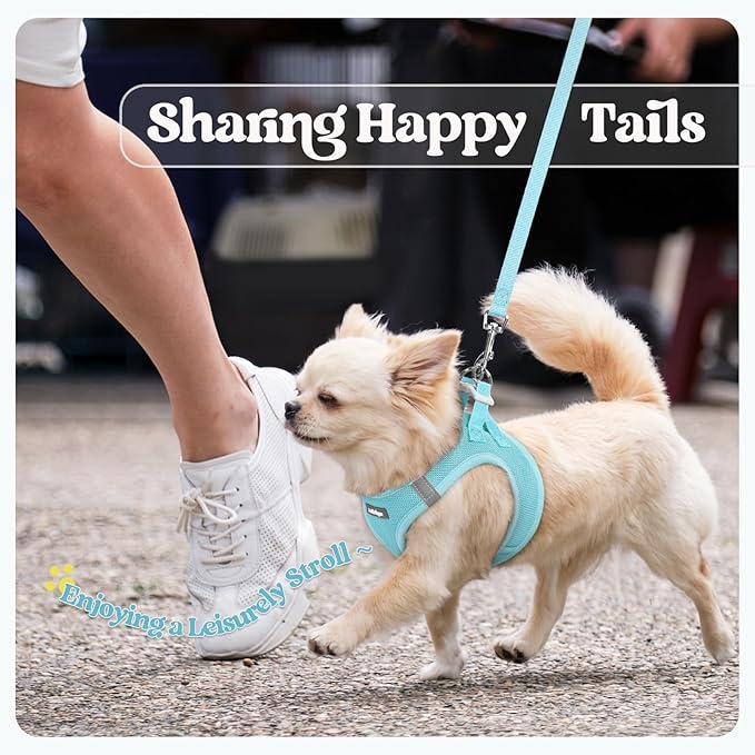 rabbitgoo Dog Harness Small Medium Sized and Leash Set, Step in Soft Light Puppy Vest, Breathable Mesh Pet Harness, Reflective for Safe Easy Walking, Mint Blue L