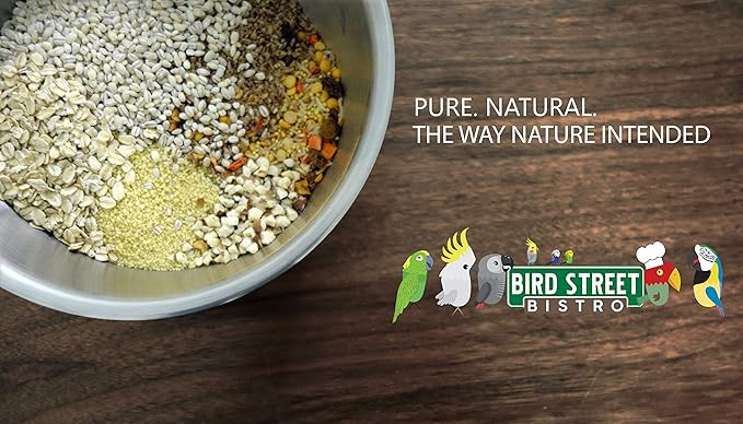 Bird Street Bistro Parrot Food - Parakeet & Cockatiel Food - Cooks in 3-15 min w/Natural Grains, Legumes, Non-GMO Fruits, Vegetables & Healthy Spices