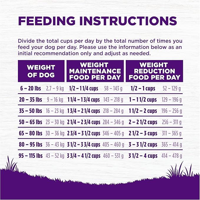 Wellness Complete Health Healthy Weight Adult Dry Dog Food, Wholesome Grain Kibble, Chicken and Peas Recipe, 5 lb Bag