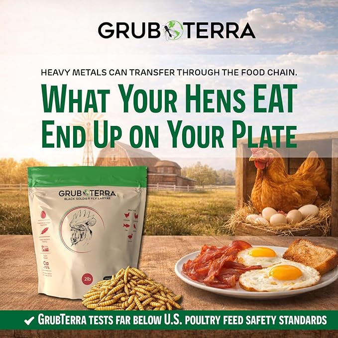 GrubTerra Black Soldier Fly Larvae for Chickens – Dried BSFL Poultry Treat, High Protein Calcium Feed Supplement for Laying Hens, Backyard Chickens, Sourced from Mexico, Not from China - 10LB