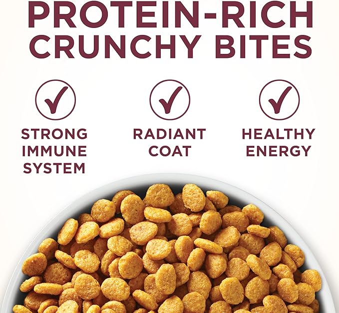 Purina ONE High Protein Dry Cat Food, +Plus Urinary Tract Health Formula - 7 lb. Bag
