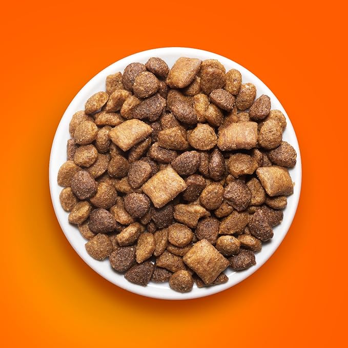 IAMS Healthy Enjoyment Dry Cat Food Chicken & Beef Recipe, Cat Food Dry Recipe, 6 lb. Bag
