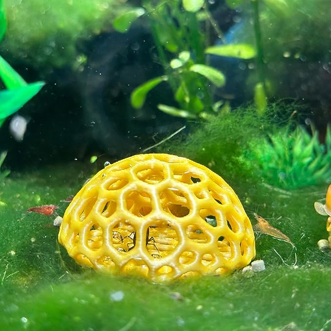 Shrimp Dome Hide - Aquarium Cherry Shrimp Hide - CTWPets Cherry Shimpe Hide (Light Brown)