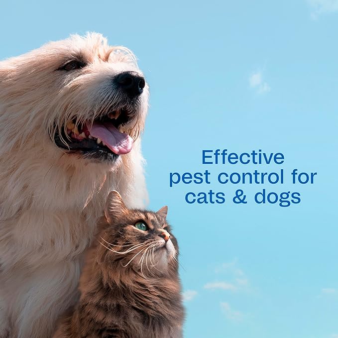 ADAMS Plus Flea & Tick Dog and Cat Spray, Kills Fleas & Ticks, Repels Mosquitoes, Prevents Flea Infestations for up to 2 Months, Flea Treatment for Dogs, Cats, Puppies, & Kittens, 32 Fl oz
