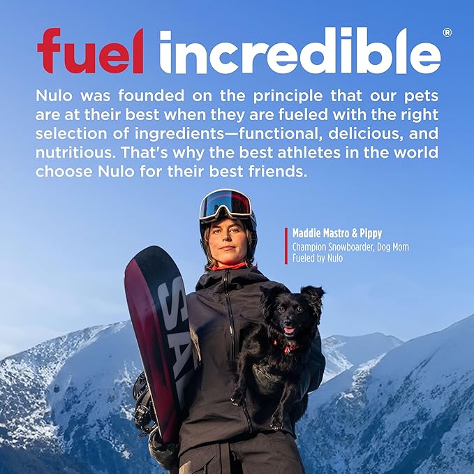 Nulo Freestyle Small Breed Dog Food Dry - Beef & Sweet Potato, Puppy & Adult Grain Free Dog Food, Natural, High Protein, Smaller Sized Kibble with BC30 Probiotic for Healthy Digestion Support, 6lb