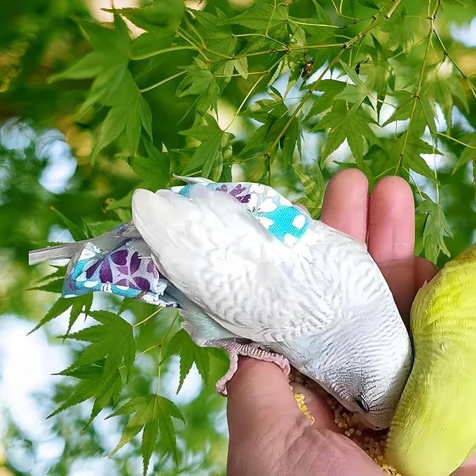2 Pcs Bird Diapers Bird Harness Flight Suits Diapers with 80in Flying Leash Reusable Parrot Nappy with Waterproof Inner Layer for Cockatiel Budgie Conure Parakeet Lovebird-Red&Light Blue