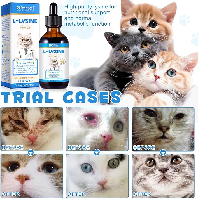 ALIVO L-Lysine for Cats, Immune Support Drops for Feline Respiratory Health, Sneezing & Runny Nose - Chicken Flavor Liquid Supplement for Eye Function & Cat Cold Relief, 60mL x 2