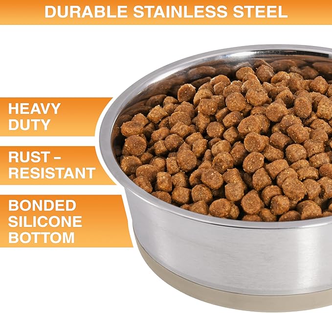 Neater Pet Brands Stainless Steel Dog Bowls with Non-Slip Rubber Bottom – Set of 2, 6 Cup (48 oz), Tan - Heavy Duty Metal Dog Bowl, Dishwasher Safe, Food or Water Bowl, Ideal for Large Dogs