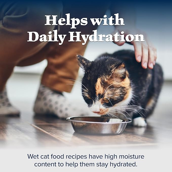 Blue Buffalo Wilderness High-Protein, Grain-Free Natural Wet Food for Adult Cats, Chicken Paté, 3-oz, 24-Pack